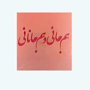 ابزار تزیین کیک مدل استنسیل کوکی کد 008