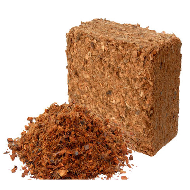 کوکوچیپس گرین سریلانکا مدل ارکیده وزن 5 کیلوگرم