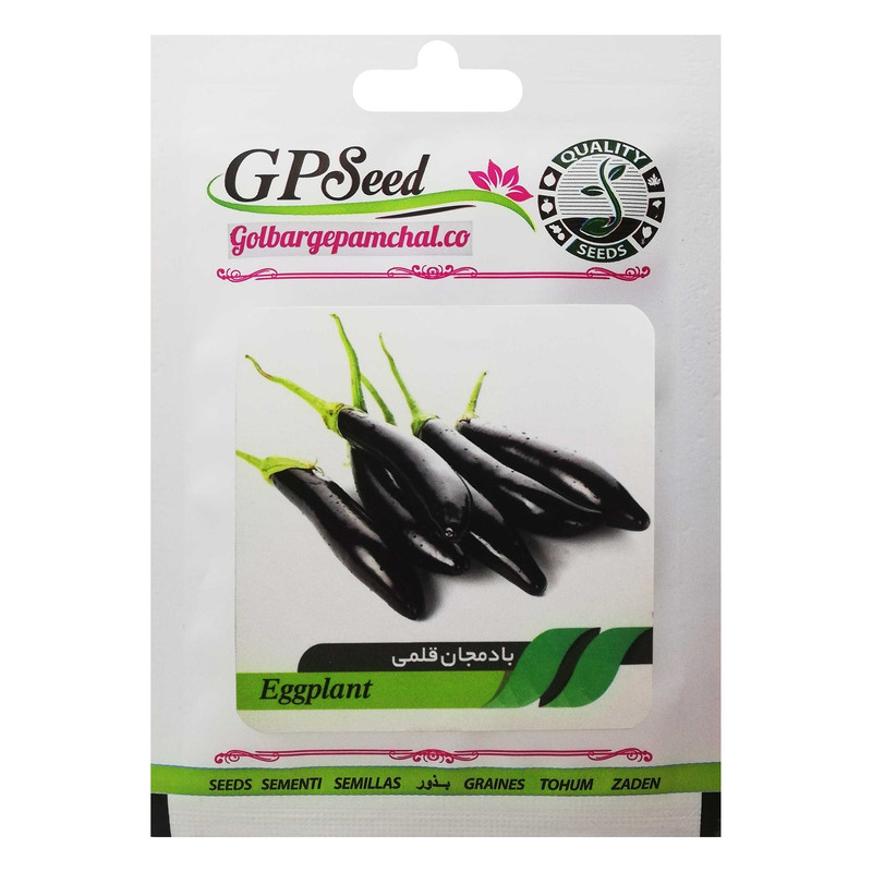 بذر بادمجان قلمی گلبرگ پامچال کد GPF-103 بذر بادمجان قلمی گلبرگ پامچال کد GPF-103