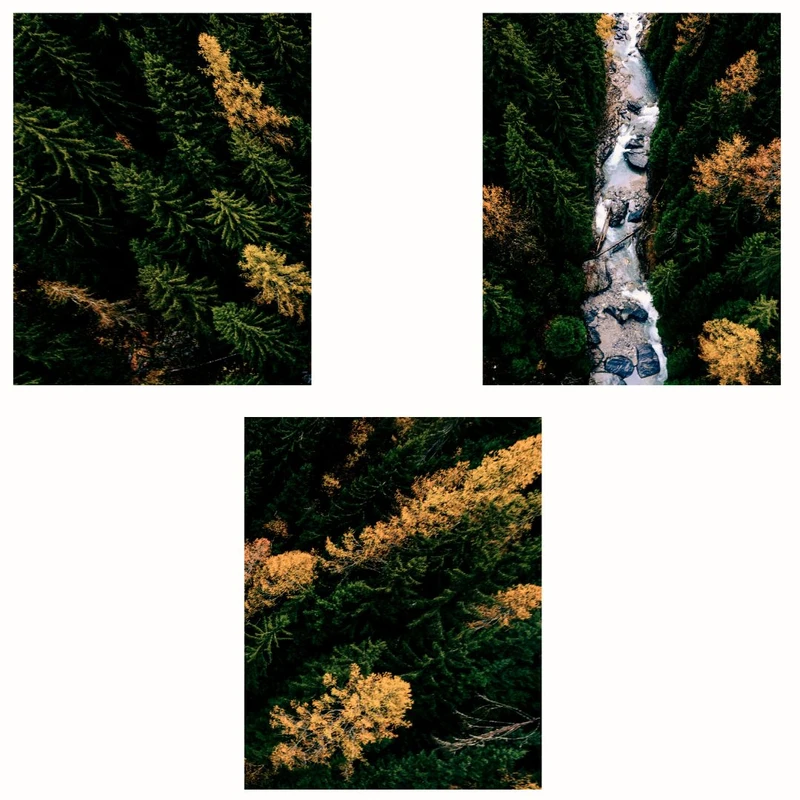 پوستر مدل مستر جنگلی -رودخانه راپیدز مجموعه 3 عددی