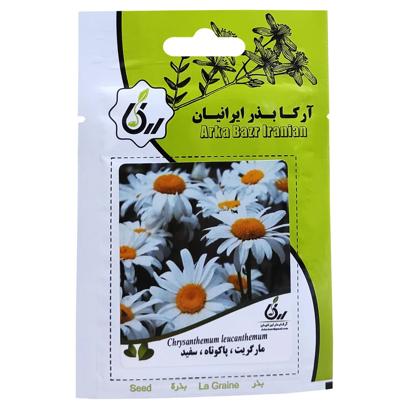 بذر گل مارگریت پاکوتاه سفید آرکا بذر ایرانیان کد ARK-083