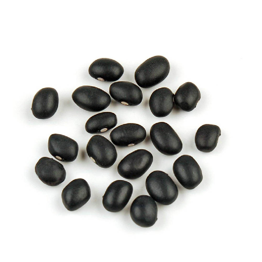 بذر لوبیا سیاه مدل GL20