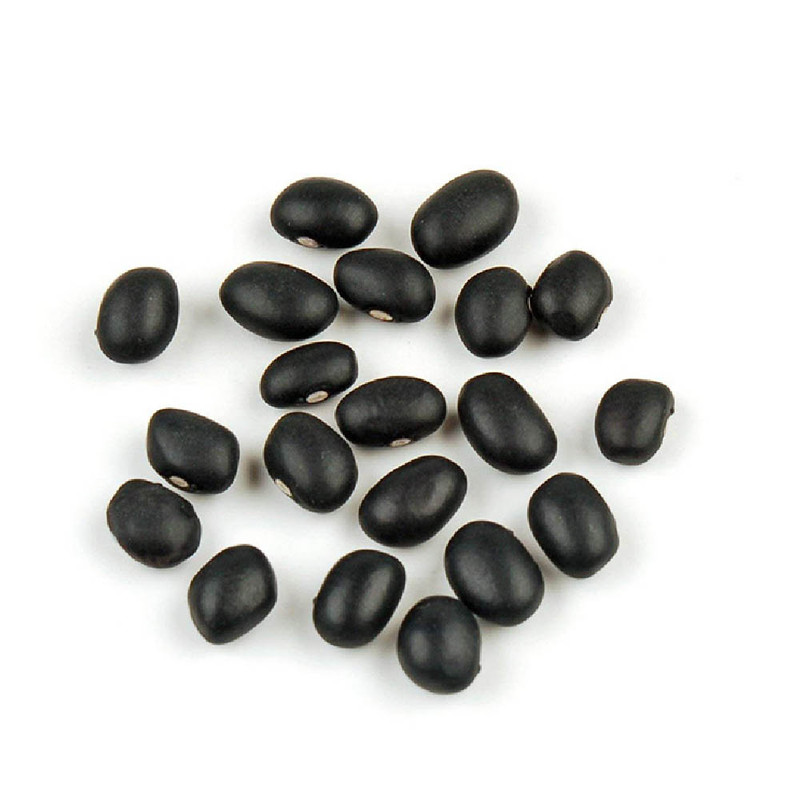 بذر لوبیا سیاه مدل GL20