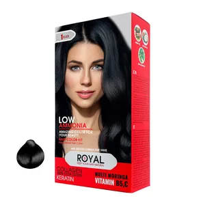 کیت رنگ مو رویال کد 1 حجم 100 میلی لیتر رنگ مشکی