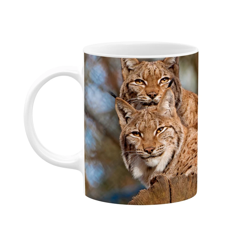 ماگ کاکتی کد mgp11342