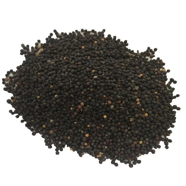 خاک پلنت مدل پلاس کد ER580 وزن 500 گرم