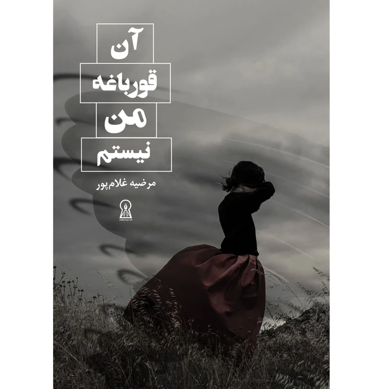 کتاب آن قورباغه من نیستم اثر مرضیه غلام‌پور نشر زرین اندیشمند