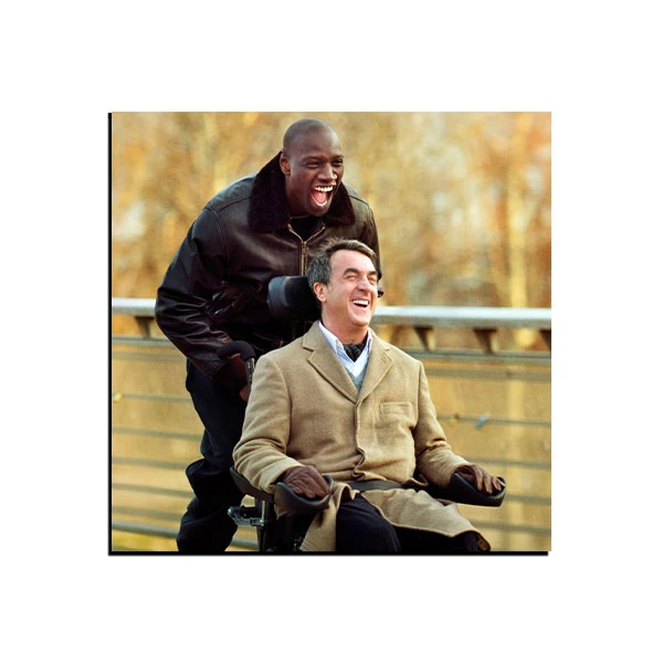 تابلو شاسی مدل فیلم دست نیافتنی ها