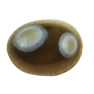 سنگ چشم باباقوری اصل سلین کالا کد 30