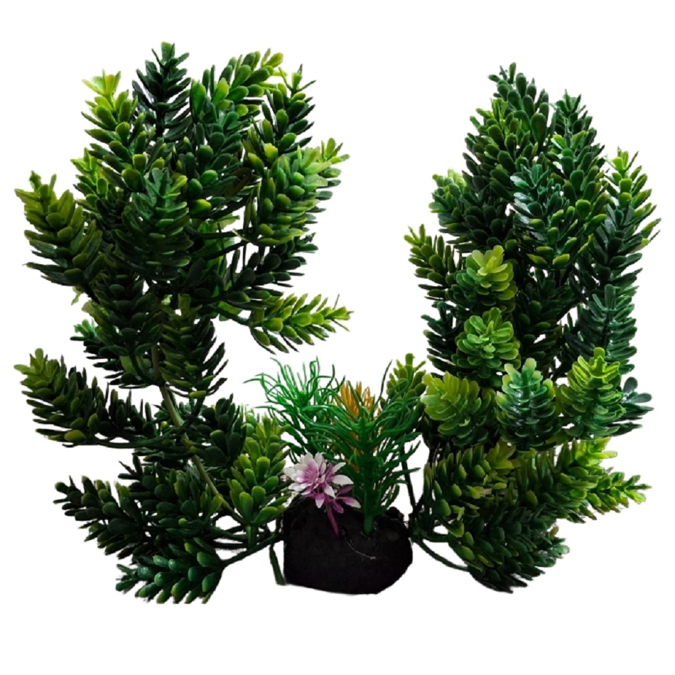 درختچه تزیینی آکواریوم مدل دو گل دریایی