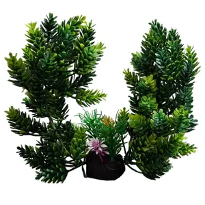 درختچه تزیینی آکواریوم مدل دو گل دریایی