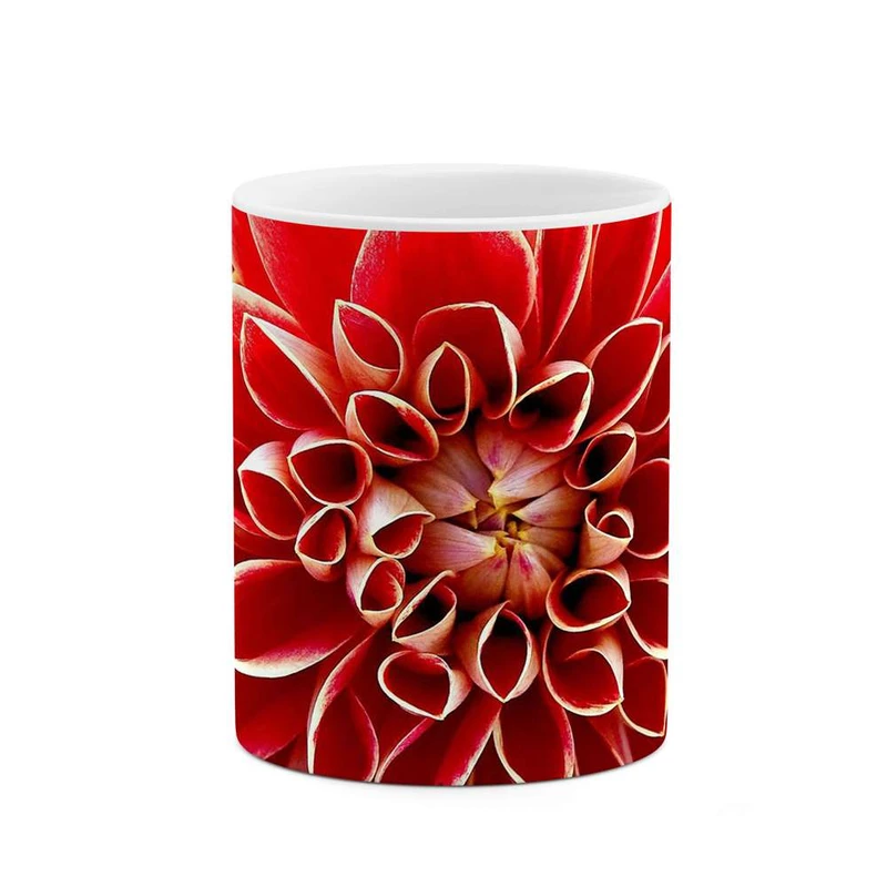 ماگ کاکتی مدل گل کد mgh11979