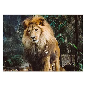 Wensoni Depressed Lion Chassis Size 50 x 70 Cm