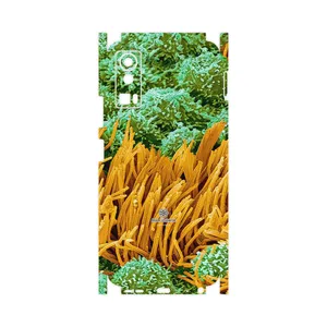 MAHOOT Atom Universe 6-FullSkin Cover Sticker for Gplus X20