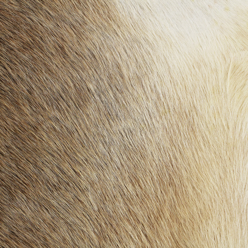 فرش پوست مدل p065