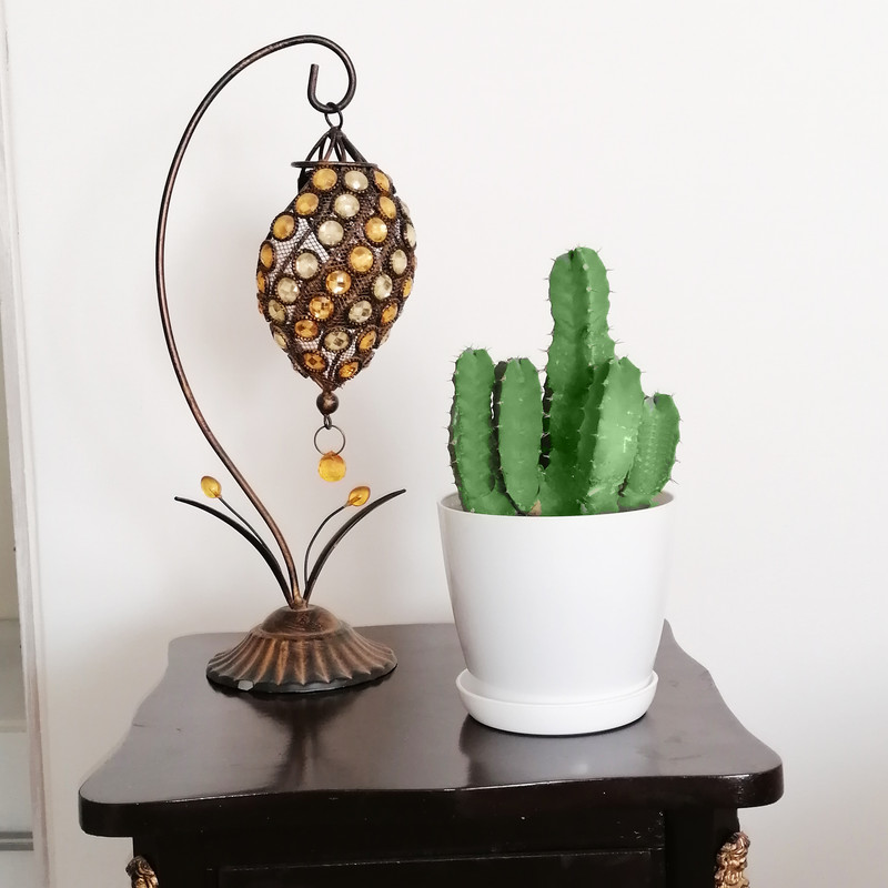 گیاه طبیعی کاکتوس مدل 101 گیاه طبیعی کاکتوس مدل 101