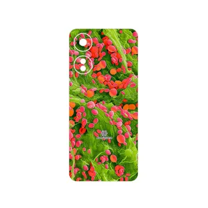 MAHOOT Atom Universe 3 Cover Sticker for Honor X5 Plus