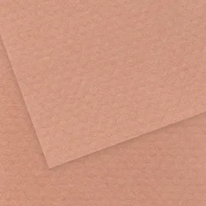 Canson Paperboard Size A3 Color Code 384 - Pack of 5