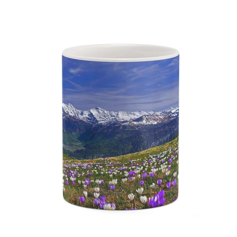 ماگ کاکتی مدل منظره کد mgh18352