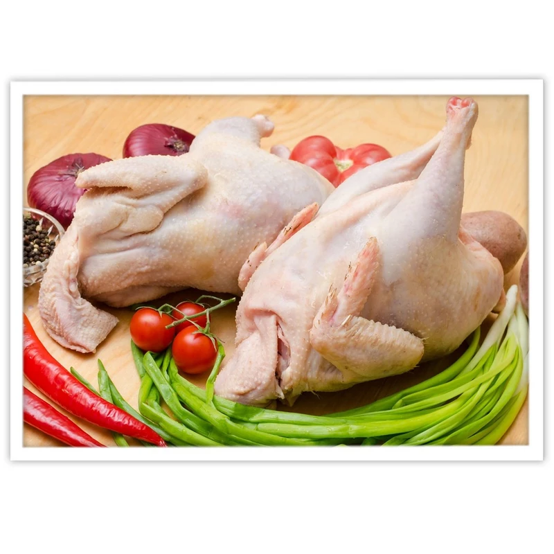 تابلو بکلیت طرح پروتئینی مرغ تازه مدل W-14982