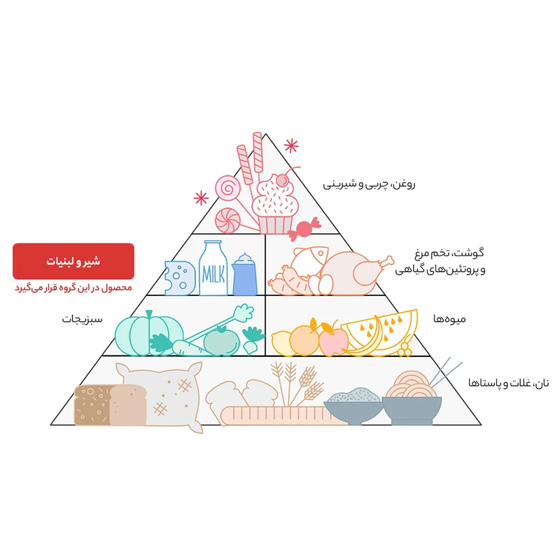 ماست کم چرب  پروبیوتیک پلاس دامداران  - 2500 گرم عکس شماره 3