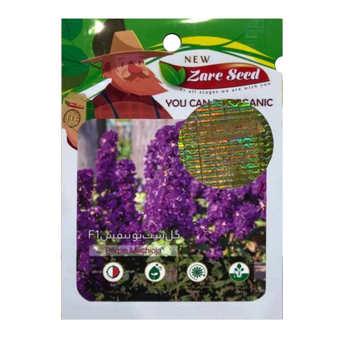 بذر گل شب بو بنفش F1 پاسارگاد کشت زارع کد zs208