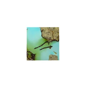 سنگ فیروزه نیشابوری پارلا گوهر کد 5601