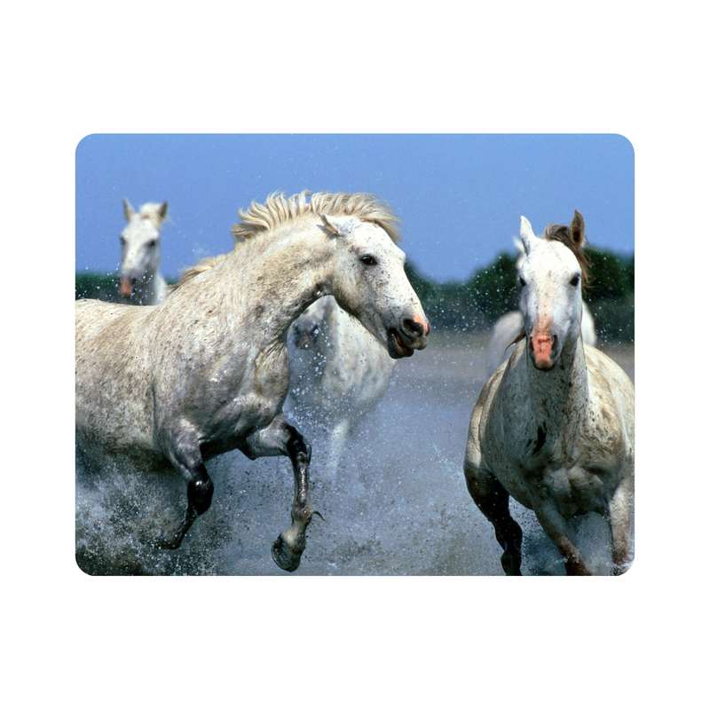 ماوس پد اطلس آبی طرح اسب  مدل T7661