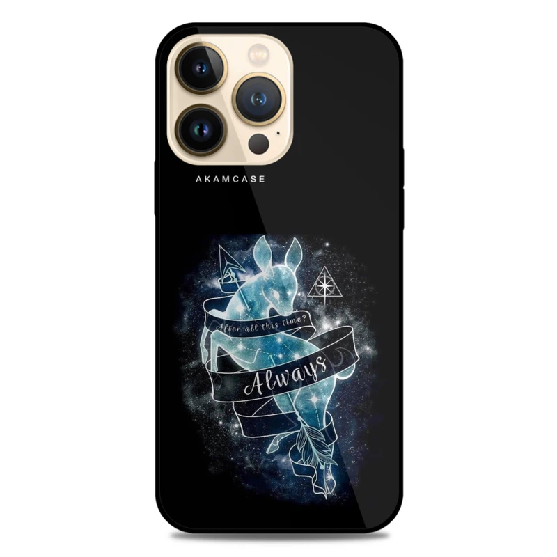 کاور آکام مدل AMCWA13PRO-HARRY POTTER2 مناسب برای گوشی موبایل اپل iPhone 13 Pro