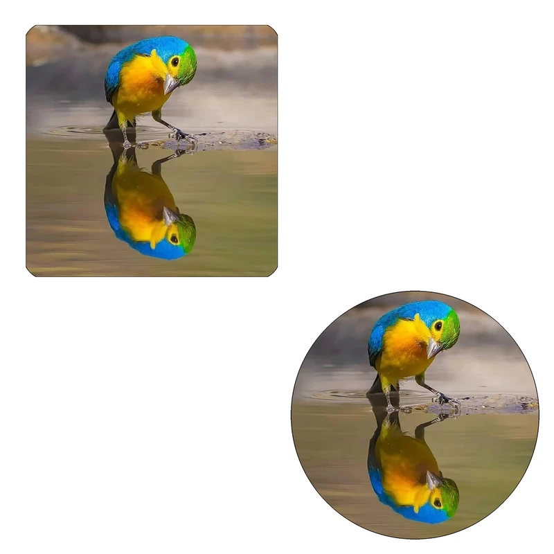 مگنت طرح بلبل کد M4 به همراه زیر لیوانی