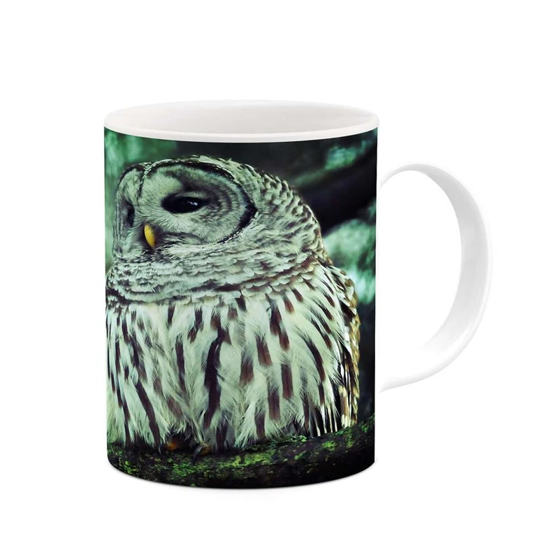 ماگ کاکتی مدل جغد کد mgh19247