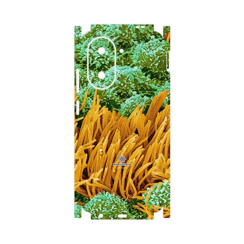 برچسب پوششی ماهوت مدل Atom Universe 6-FullSkin مناسب برای گوشی موبایل شیائومی Redmi A5 4G