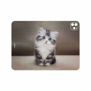 MAHOOT Cat-2 Cover Sticker for Apple iPad Pro 11 GEN 2 2020 A2068