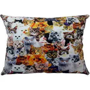 Rence R1-10052 Cushion