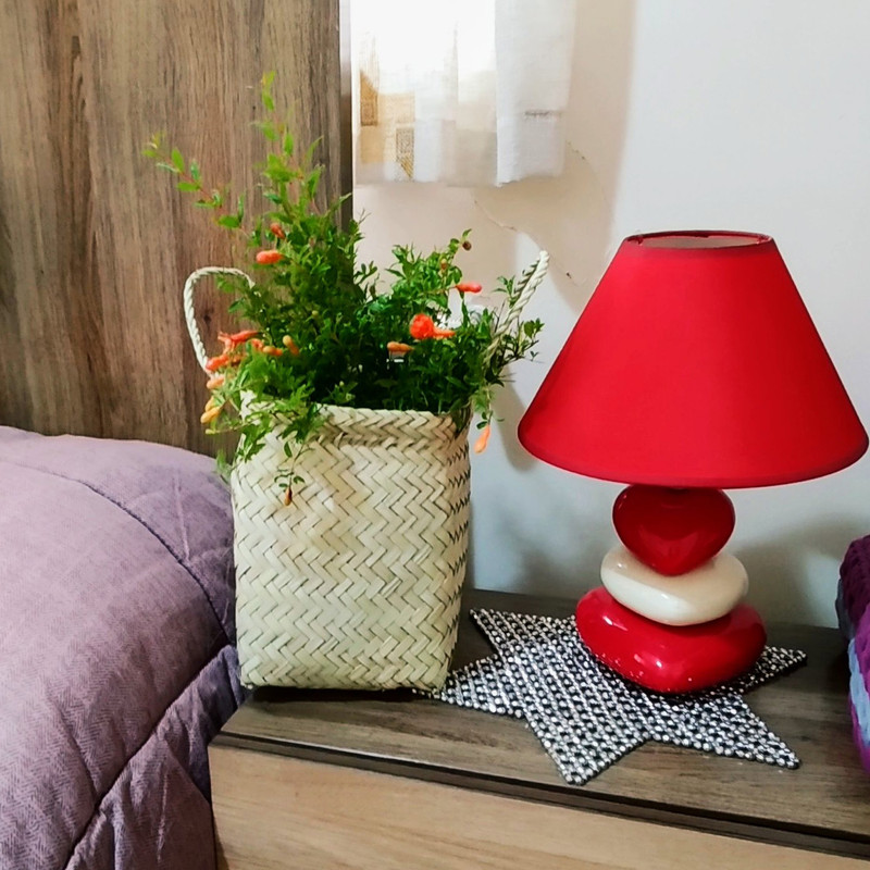 گیاه طبیعی انار زینتی مدل C-29