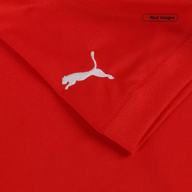 تی شرت آستین کوتاه ورزشی مردانه مدل سوییس Home 2022