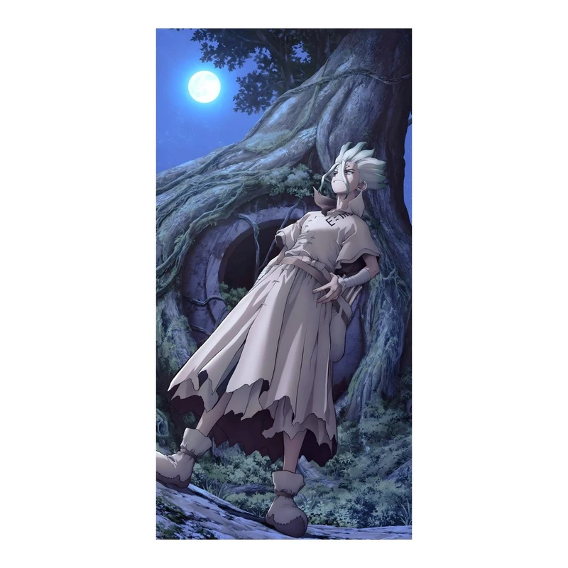 استیکر لپ تاپ و موبایل مدل انیمه طرح سنکو ایشیگامی دکتر استون&nbsp;کد 5878