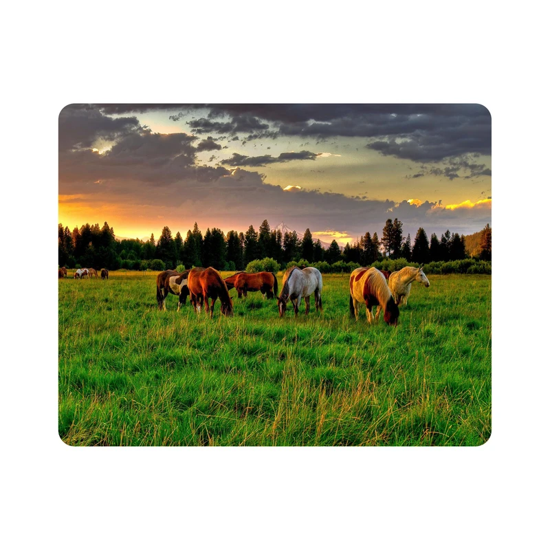 ماوس پد اطلس آبی طرح مزرعه اسب مدل T1327