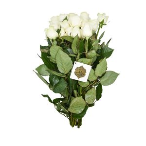 دسته گل رز هلندی سفید هیمان کد Ro07