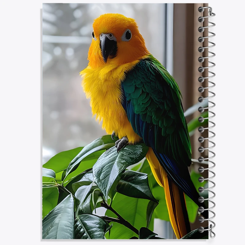 دفتر نقاشی 50 برگ خندالو طرح طوطی کد F7811