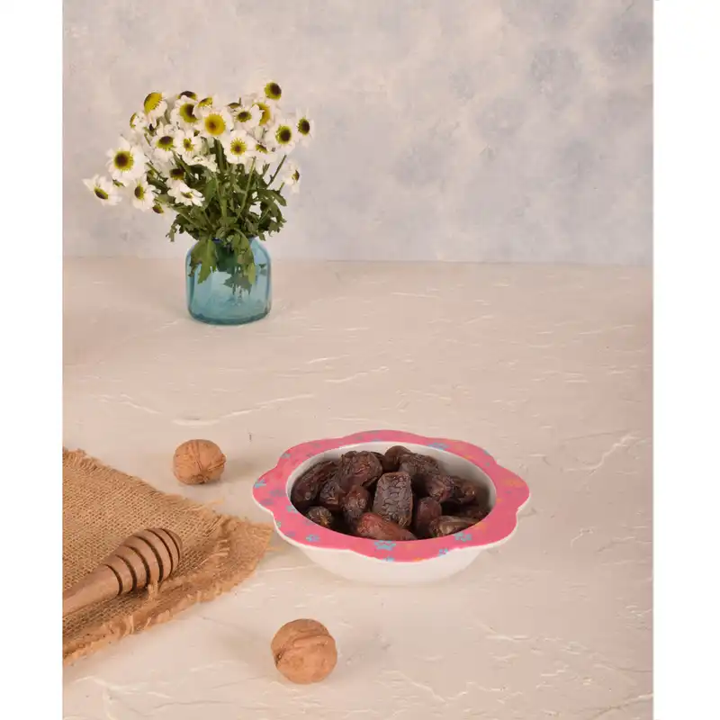 کاسه کودک  مهروز کد 5060 طرح سگ نگهبان