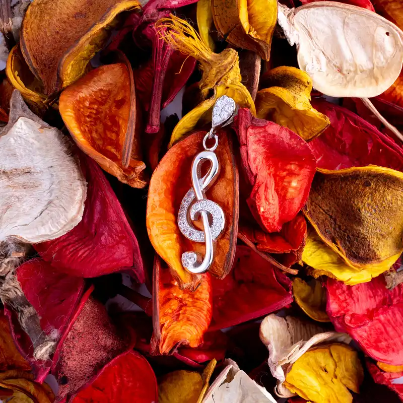 آویز گردنبند نقره زنانه مدل نت موسیقی AMT_092