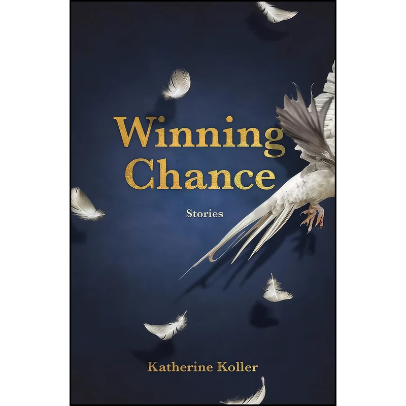 کتاب Winning Chance اثر Katherine Koller انتشارات Enfield Wizenty