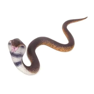 فیگور مدل حیوانات وحشی طرح مارکبری ارتفاع 8 سانتی متر