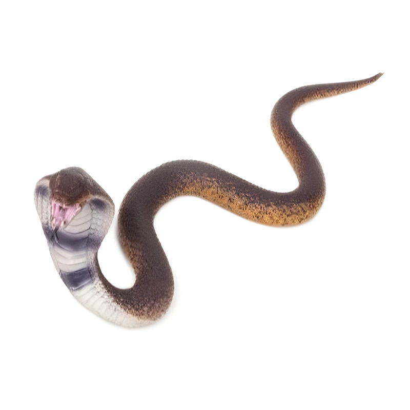 فیگور مدل حیوانات وحشی طرح مارکبری ارتفاع 8 سانتی متر