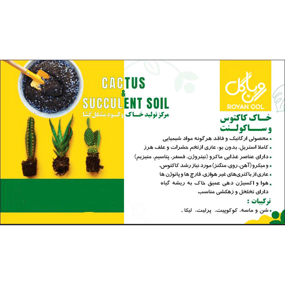 خاک کاکتوس و ساکلونت رویان گل مدل KS5 حجم 5لیتر