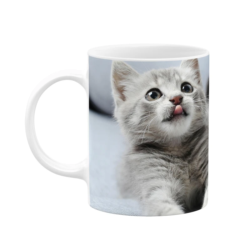 ماگ کاکتی طرح گربه کد mgp10516