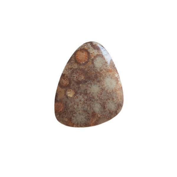 سنگ مرجان کد 007