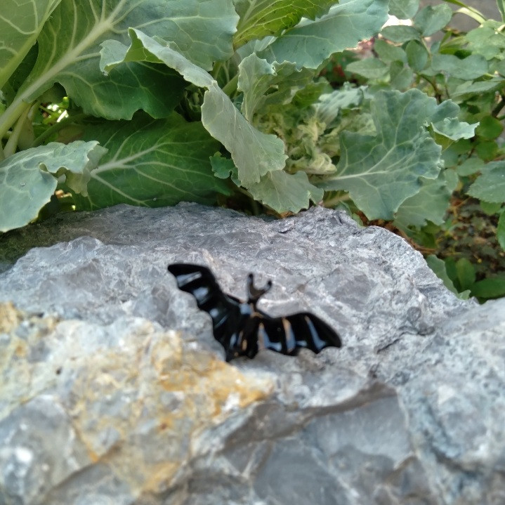 انگشتر دخترانه مدل بتمن