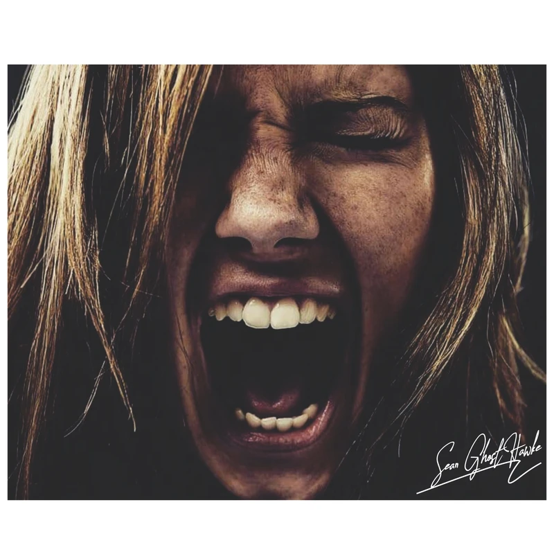 تابلو شاسی مدل فریاد خاموش